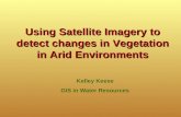 Using Satellite Imagery to detect changes in Vegetation in Arid Environments Kelley Keese GIS in Water Resources.