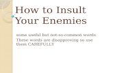 How to Insult Your Enemies some useful but not-so-common words These words are disapproving so use them CAREFULLY.