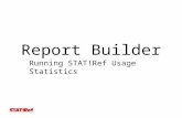Report Builder Running STAT!Ref Usage Statistics.