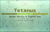 Tetanus Maria Banica & Sophie Nam BISC 209 Tuesday, May 4, 2004.