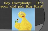 Hey Everybody! It’s your old pal Big Bird!. We are here to learn quadrilaterals.