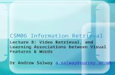 CSM06 Information Retrieval Lecture 8: Video Retrieval, and Learning Associations between Visual Features & Words Dr Andrew Salway a.salway@surrey.ac.uka.salway@surrey.ac.uk.