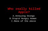 Who really killed Apple? A.Annoying Orange B.Stupid Hungry Human C.None of the above.