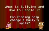 What is Bullying and How to Handle It Can Fishing help change a bully’s spots?