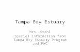 Tampa Bay Estuary Mrs. Stahl Special information from Tampa Bay Estuary Program and FWC.