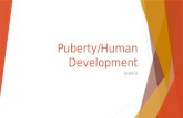Puberty/Human Development Grade 6. Changes in Early Adolescence  What changes that will happen to your bodies  Hygiene  How to set goals  Steps to.