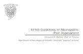 EFNS Guidelines on Neuropathic Pain Assessment Dr.ssa G Di Stefano Prof. G. Cruccu Dipartimento di Neurologia e Psichiatria, Università “Sapienza” di Roma.