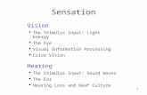 1 Sensation Vision  The Stimulus Input: Light Energy  The Eye  Visual Information Processing  Color Vision Hearing  The Stimulus Input: Sound Waves.