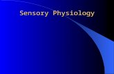 Sensory Physiology. Sensation State of external/internal awareness Stimulus Receptor Nerve impulse to brain.