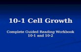10-1 Cell Growth Complete Guided Reading Workbook 10-1 and 10-2.