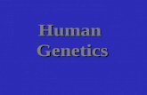 Human Genetics. A Pedigree of a Recessive Human Trait Note that the trait can appear in offspring of parents without the trait. Heterozygotes who do not.