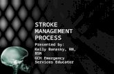 STROKE MANAGEMENT PROCESS Presented by: Kelly Banasky, RN, BSN GCH Emergency Services Educator.
