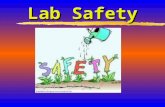 Lab Safety. Introduction 1.A chemical lab is potentially hazardous environment 2.Accident and injury can happen anytime 3.Lab safety is everyone’s responsibility.