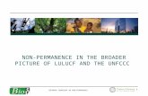 I NFORMAL WORKSHOP ON N ON - PERMANENCE 1 N ON - PERMANENCE IN THE B ROADER P ICTURE OF LULUCF AND THE UNFCCC.