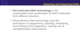 16 Cleaving and Rejoining DNA Recombinant DNA technology is the manipulation and combination of DNA molecules from different sources. Recombinant DNA technology.