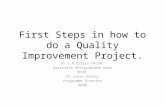 First Steps in how to do a Quality Improvement Project. Dr S.A.Cullis FRCGP. Associate Postgraduate Dean HEEM. Dr Susan Hadley Programme Director HEEM.