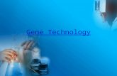 Gene Technology. Gene Technology Jargon  Gene technology: a general term covering a variety of technics involving genetic material including genetic.