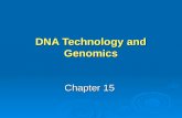 DNA Technology and Genomics Chapter 15. Learning Objective 1 How does a typical restriction enzyme cut DNA molecules? How does a typical restriction enzyme.