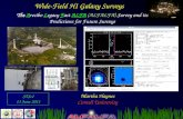 Wide-Field HI Galaxy Surveys The Arecibo Legacy Fast ALFA (ALFALFA) Survey and its Predictions for Future Surveys Martha Haynes Cornell University STScI.