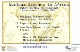 Nuclear Science in Africa (What is New or Planned) 1.Nuclear Science and Facilities in Africa 2.Algeria and Reunion 3.New Developments in South Africa.