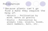 Pollination Because plants can’t go find a mate they require the help of:  Abiotic - Pollination by wind, water or gravity  Biotic - Pollination by animals.