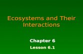 Ecosystems and Their Interactions Chapter 6 Lesson 6.1.