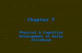 Chapter 7 Physical & Cognitive Development in Early Childhood.