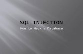 How to Hack a Database.  What is SQL?  Database Basics  SQL Insert Basics  SQL Select Basics  SQL Where Basics  SQL AND & OR Basics  SQL Update.
