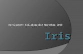 Development Collaboration Workshop 2010 Iris.  Field needs an advanced set of integrated DSS tools Situational awareness beyond current capabilities.
