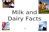 Milk and Dairy Facts Are you getting enough? Approximately how much milk should the following people drink each day: Adults______3______ Teenagers____3-4_____.