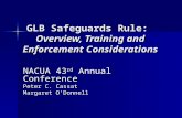 GLB Safeguards Rule: Overview, Training and Enforcement Considerations NACUA 43 rd Annual Conference Peter C. Cassat Margaret O’Donnell.