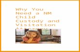 Why You Need a NM Child Custody and Visitation Attorney.