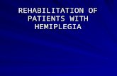 REHABILITATION OF PATIENTS WITH HEMIPLEGIA. Rehabilitation –purpose - restore function following an illness or injury, with the goal of maximizing a person’s.
