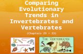 Comparing Evolutionary Trends in Invertebrates and Vertebrates (Chapters 29 + 33)