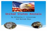 United States Animals By Alfonsina C. Crisostomo And Melinda Moya.
