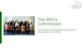 The Africa Commission Commission on Effective Development Cooperation with Africa.