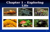 1 Chapter 1 – Exploring Life. 2 Why Study Biology? Science Science  Systematic method of inquiry Biology Biology  Scientific study of life Important.