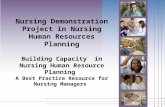 Nursing Demonstration Project in Nursing Human Resources Planning Building Capacity in Nursing Human Resource Planning A Best Practice Resource for Nursing.
