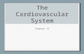 The Cardiovascular System Chapter 15. Human Circulation Double loop circulation Pulmonary circuit Systemic circuit.