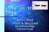 Life in the Cold Neill Reid STScI & Maryland Astrobiology Consortium.