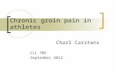 Chronic groin pain in athletes Charl Carstens CLL 705 September 2012.