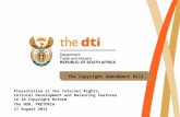 The Copyright Amendment Bill Presentation at the Internet Rights, Cultural Development and Balancing Features in SA Copyright Reform The HUB, PRETORIA.