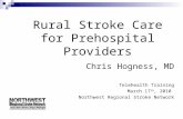 Rural Stroke Care for Prehospital Providers Chris Hogness, MD Telehealth Training March 17 th, 2010 Northwest Regional Stroke Network.