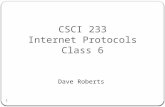 1 CSCI 233 Internet Protocols Class 6 Dave Roberts.