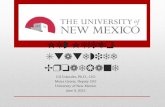 New Mexico Statewide Broadband Gil Gonzales, Ph.D., CIO Moira Gerety, Deputy CIO University of New Mexico June 9, 2015.