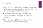 + DO NOW: Put your homework packet together and get your reading notes out to be checked. THEN answer: Explain the Young-Helmholtz trichromatic theory.