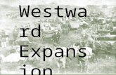 Westward Expansion. After the Civil War, railroad building exploded in the US. In 1869, the first railroad spanning the US was completed: the Transcontinental.
