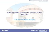 Efficient Model Selection for Support Vector Machines Shibdas Bandyopadhyay.