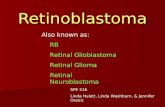 Retinoblastoma Also known as: RB Retinal Glioblastoma Retinal Glioma Retinal Neuroblastoma SPE 516 Linda Hulett, Linda Washburn, & Jennifer Orenic.