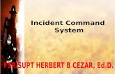 Incident Command System. Definitions Incident –An occurrence that requires action by emergency service personnel Incident Command System (ICS) –A standardized,